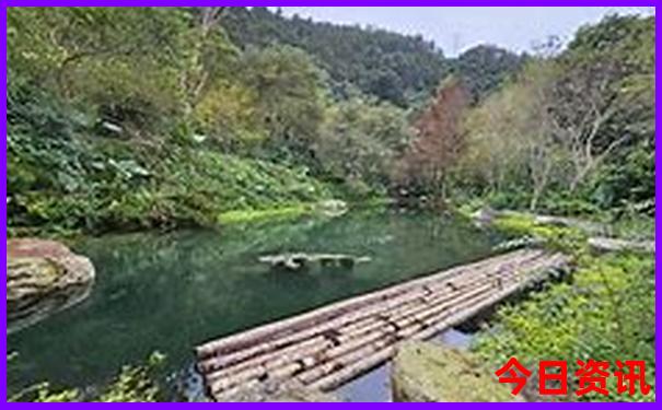 马来西亚景点必去的景点